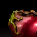 Photo of small bronze Sculpture featuring Tree Frog on two-toned apple with several insects