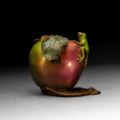 Photo of small bronze Sculpture featuring Tree Frog on two-toned apple with several insects