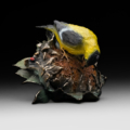 Photo of table top bronze sculpture of Gold Finch pulling seed from sunflower with multiple colors of patina and portions of exposed bronze