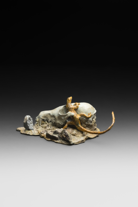 Photo of bronze sculpture of lizard on animal skull amongst flat rocky terrain