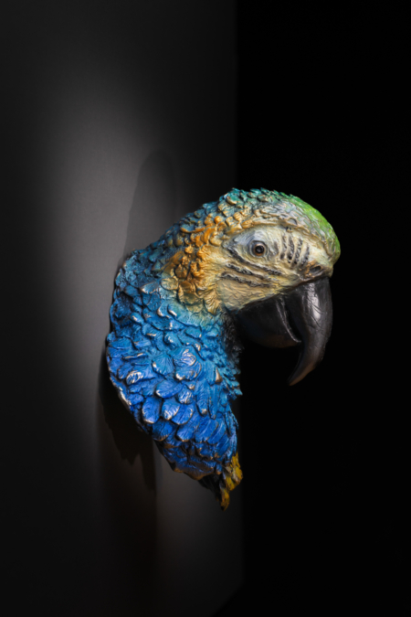 Photo of wall mount bronze bust sculpture of Blue and Gold Macaw