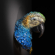 Photo of wall mount bronze bust sculpture of Blue and Gold Macaw