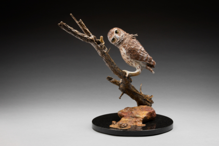 Photo of bronze Sculpture of Burrowing Owl on a branch eyeing a lizard with granite base