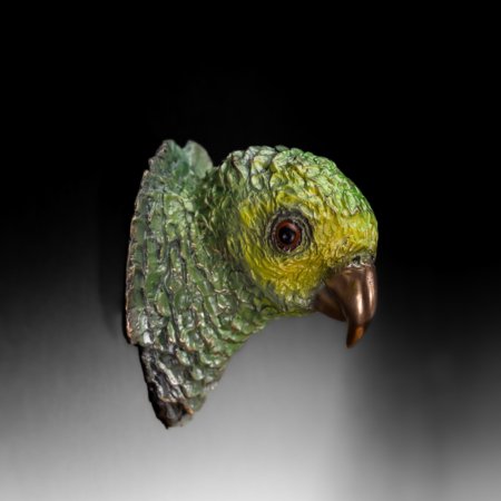 Photo of wall mount bronze sculpture of Yellow Shouldered Amazon with exposed bronze beak