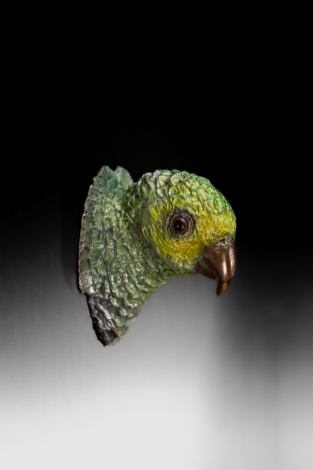 Photo of wall mount bronze sculpture of Yellow Shouldered Amazon with exposed bronze beak